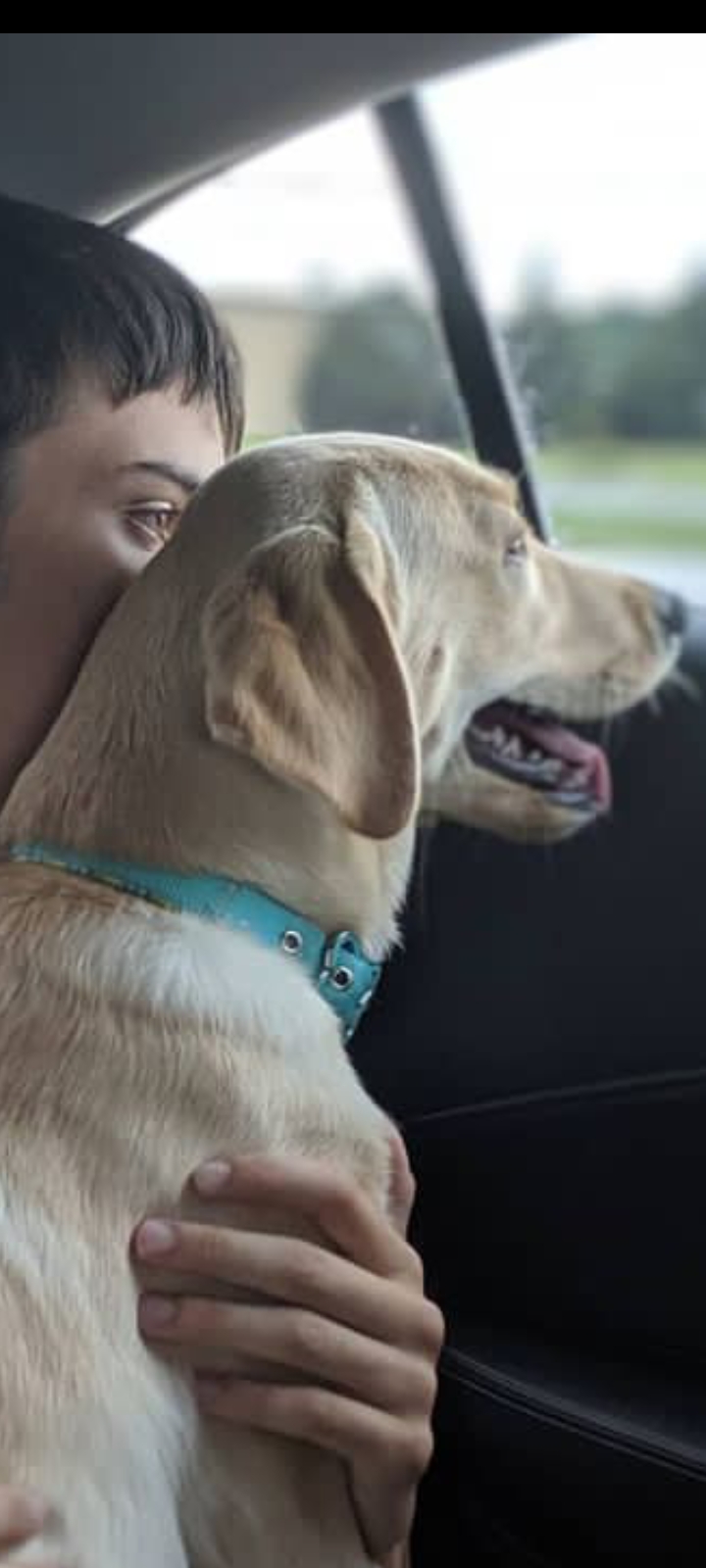 Logan taking his dog for a drive